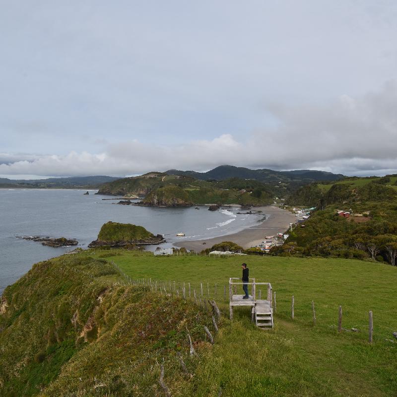 Ile de Chiloé : plage des pinguoins